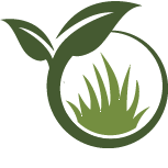 Garden Cleanup and Removal Pros