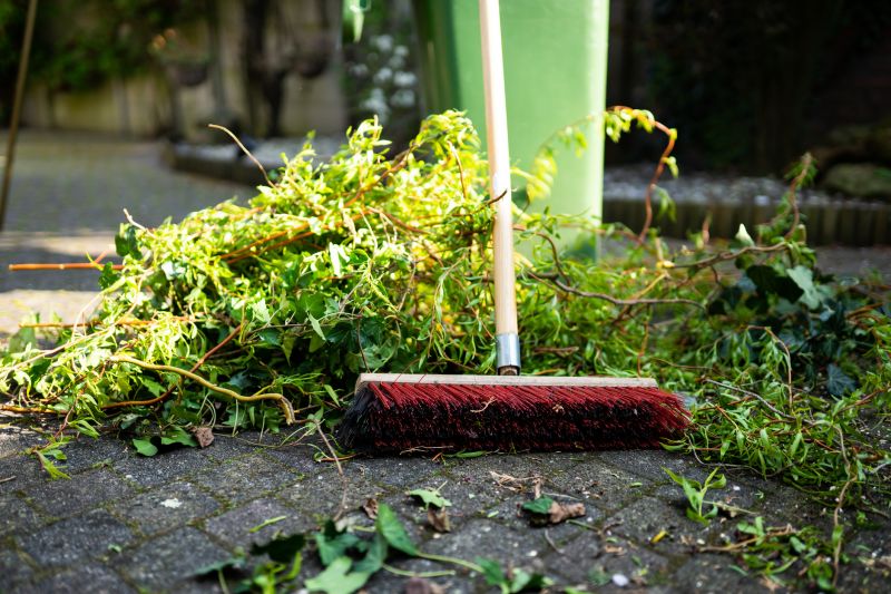 Garden Cleanup and Removal