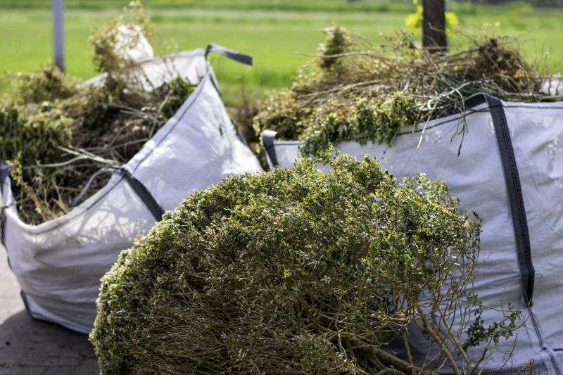 Garden Cleanup and Removal