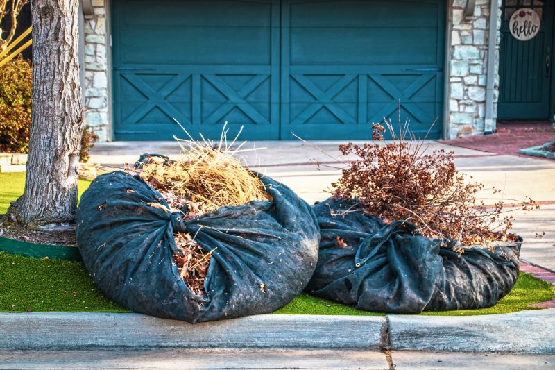 Garden Cleanup and Removal