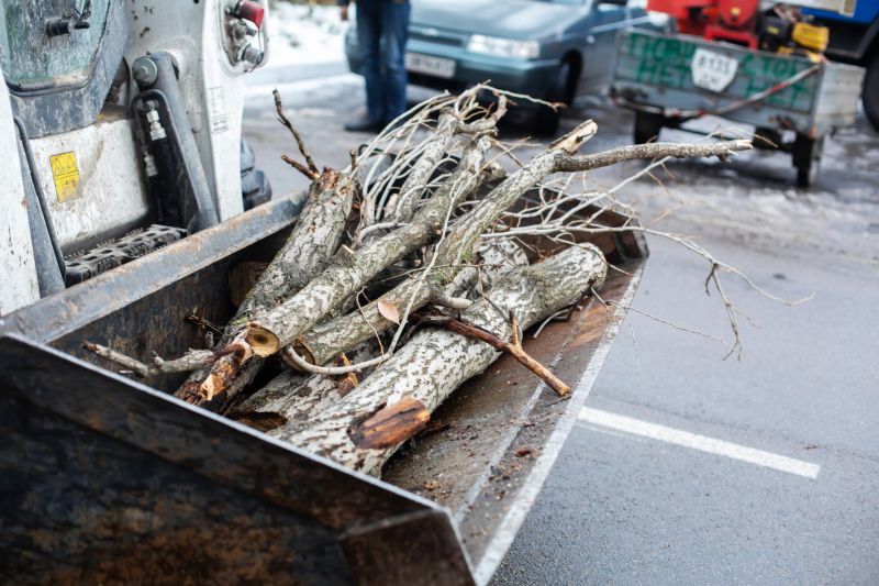 Tree Branches and Large Debris