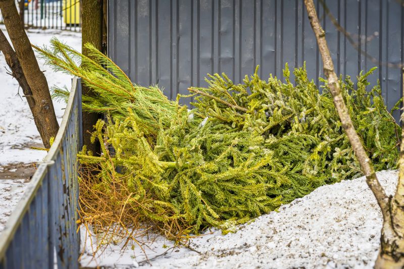 Winter Snow and Debris Removal