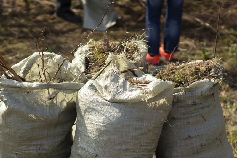 Budget-Smart Upgrades