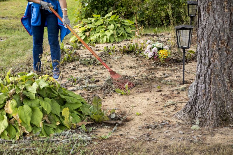 Complete garden overhaul