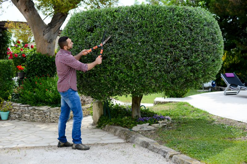 Hedge trimming professionals